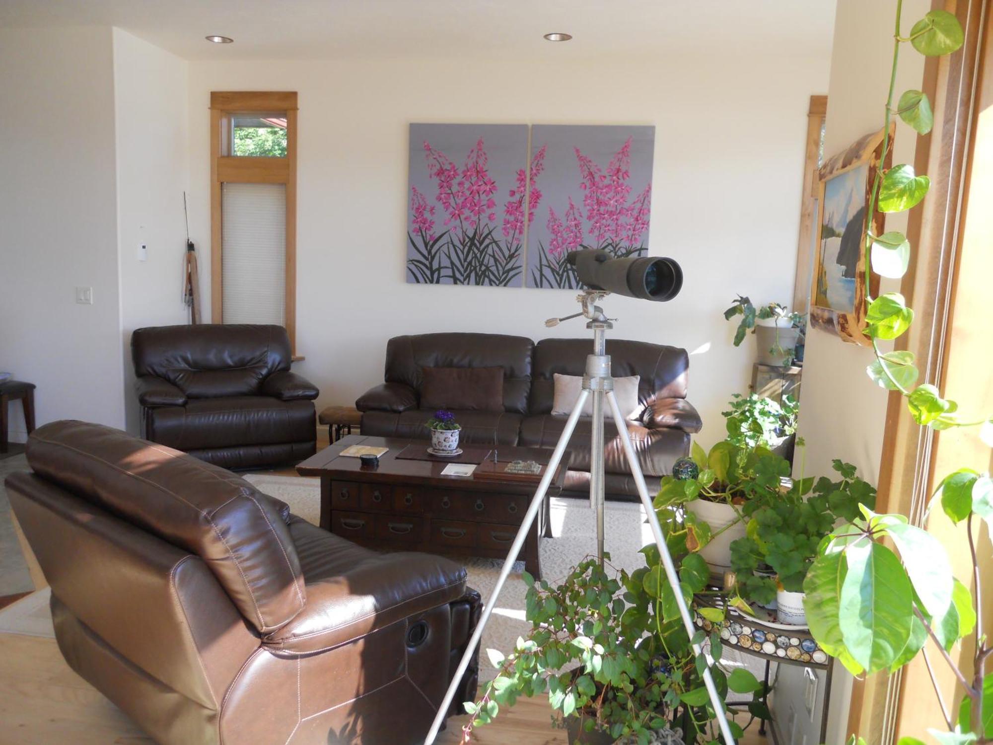 Seward Front Row Bed And Breakfast Extérieur photo